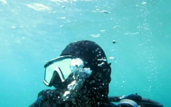Stock Video Bubbles Rising From A Diver For PC