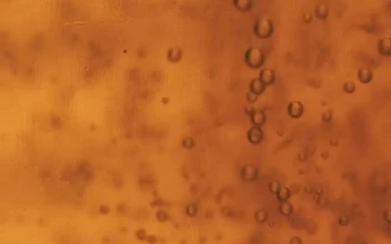 Stock Video Bubbles Moving Slowly In A Yellow Liquid For PC