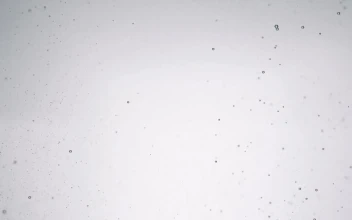 Stock Video Bubbles Of Water Rising To The Surface For PC