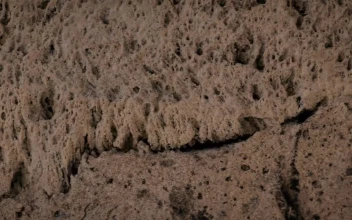 Stock Video Brown Rocky Surface With A Porous Texture For PC