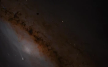 Stock Video Brown Nebula In Space Surrounded By Stars For PC
