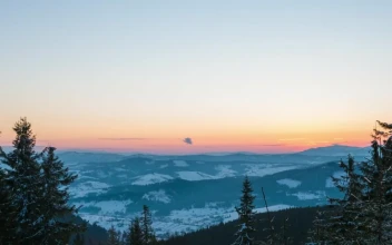 Stock Video Bright Sun Rising Over The Skyline In The Forest For PC