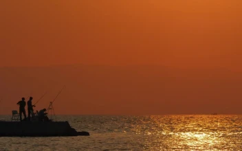 Stock Video Bright Orange Evening Across The Ocean For PC