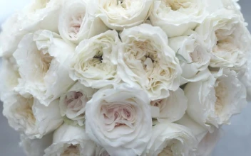 Stock Video Bridal Bouquet Of White Flowers In A Close Up Shot For PC