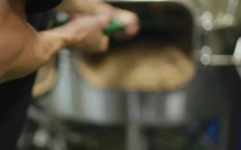 Stock Video Brewer Taking Out Barley From A Tank For PC