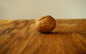 Stock Video Breaking A Walnut With Hammer For PC