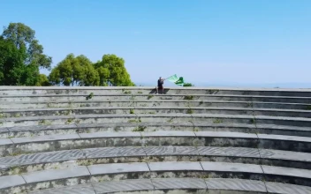 Stock Video Boy Waving The Brazilian Flag Outdoors For PC