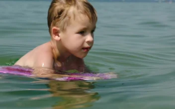 Stock Video Boy Swimming With A Board For PC