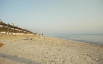 Stock Video Boy Running On The Sand For PC