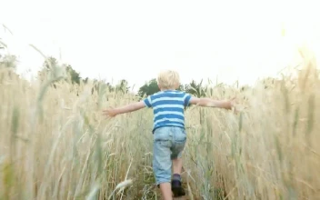 Stock Video Boy Running In A Wheat Field Tracking Shot For PC