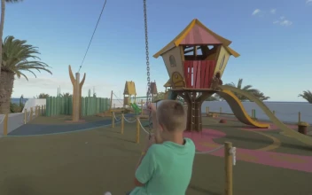 Stock Video Boy Playing On A Rope Swing For PC