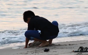 Stock Video Boy Playing In The Sand For PC