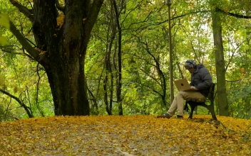 Stock Video Boy Keeps His Things And Retires In A Park In For PC
