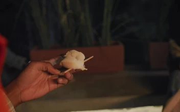 Stock Video Boy Eating Marshmallows With His Friends At A Campfire For PC