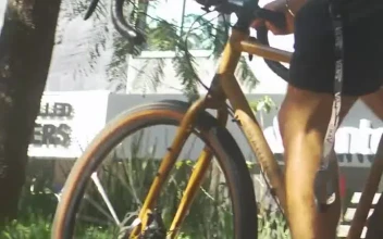 Stock Video Boy Does A Wheelie On A Bike In A Park For PC