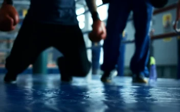 Stock Video Boxer Falling Down Into The Ring Floor For PC