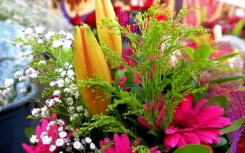 Stock Video Bouquets Of Assorted Flowers In A Flower Shop For PC