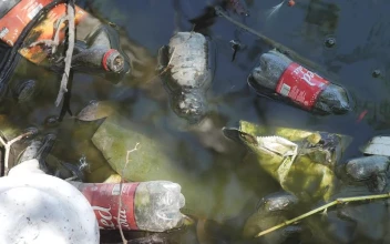 Stock Video Bottles And Bags In The Dirty Water Of A River For PC