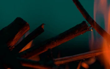 Stock Video Bonfire Burning Against The Night Sky For PC