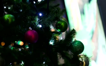 Stock Video Bokeh Lights Through A Christmas Tree For PC