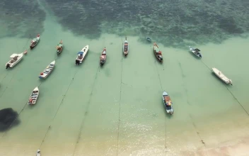 Stock Video Boats Tied To The Shore Of A Sunny Beach For PC
