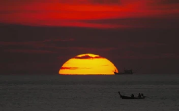 Stock Video Boats Sailing At Sunset For PC