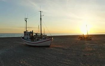 Stock Video Boats During Low Tide For PC