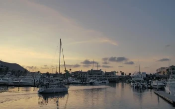 Stock Video Boats At A Marina For PC