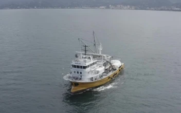Stock Video Boat Heading Away From Shore For PC
