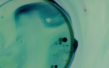 Stock Video Bluish Abstrac Liquid Flowing For PC