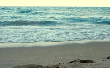 Stock Video Blue Waves Breaking By Footprints For PC