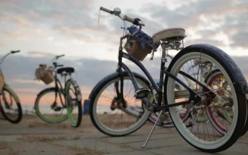 Stock Video Blue Bicycles Parked On The Street For PC