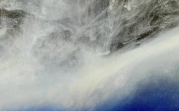 Stock Video Blue And White Abstract Forms For PC