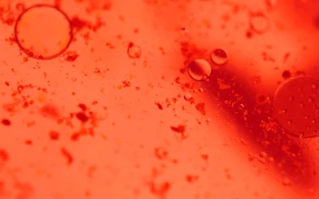 Stock Video Bloodstream With Viruses In It For PC