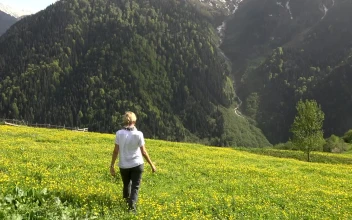 Stock Video Blonde Woman Walking In A Flower Field In The Mountain For PC