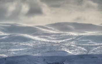Stock Video Blizzard In The Valley For PC