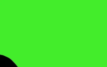 Stock Video Black Liquid Covering A Green Screen For PC