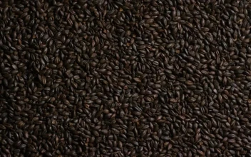 Stock Video Black Barley Rotating For PC