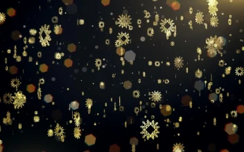 Stock Video Black Background With Golden Snowflakes For PC