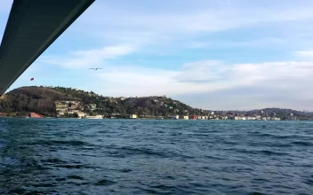 Stock Video Birds Flying Below A Bridge For PC