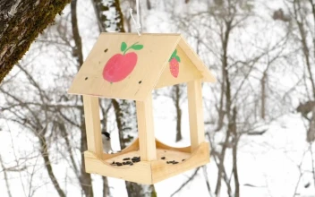 Stock Video Birds Feeding On A Snowy Day For PC