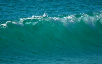 Stock Video Big Wave Crashing For PC