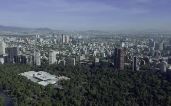 Stock Video Big Park Near The City For PC