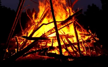 Stock Video Big Bonfire Burning In The Night For PC