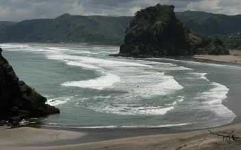 Stock Video Big Beach And Lion Shaped Rock In New Zealand For PC