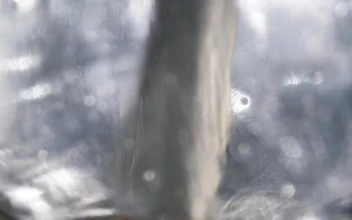 Stock Video Beer Texture Full Of Bubbles For PC