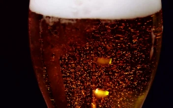 Stock Video Beer Bubbles In A Glass For PC