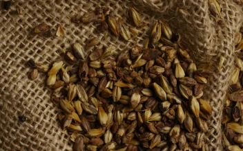 Stock Video Beer Brewing Ingredients On A Natural Fabric For PC