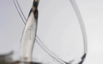 Stock Video Beer Being Served In A Glass For PC