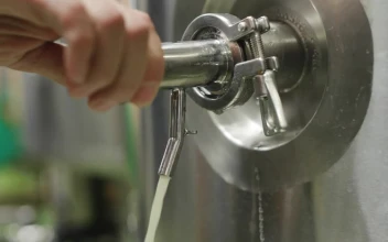 Stock Video Beer Being Served From A Brewer Tank For PC